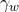 \gamma_w