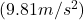 (9.81 m/s^2)