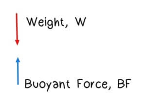 Understanding Buoyancy Meaning and Formulas