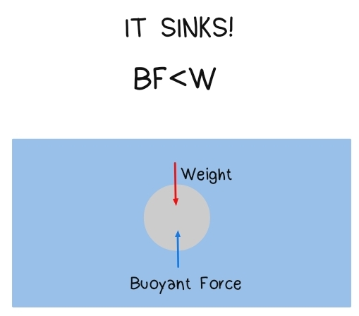 It sinks when the buoyant force is less than the weight