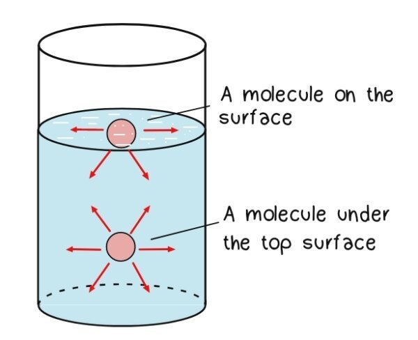 Surface Tension and Capillary Action
